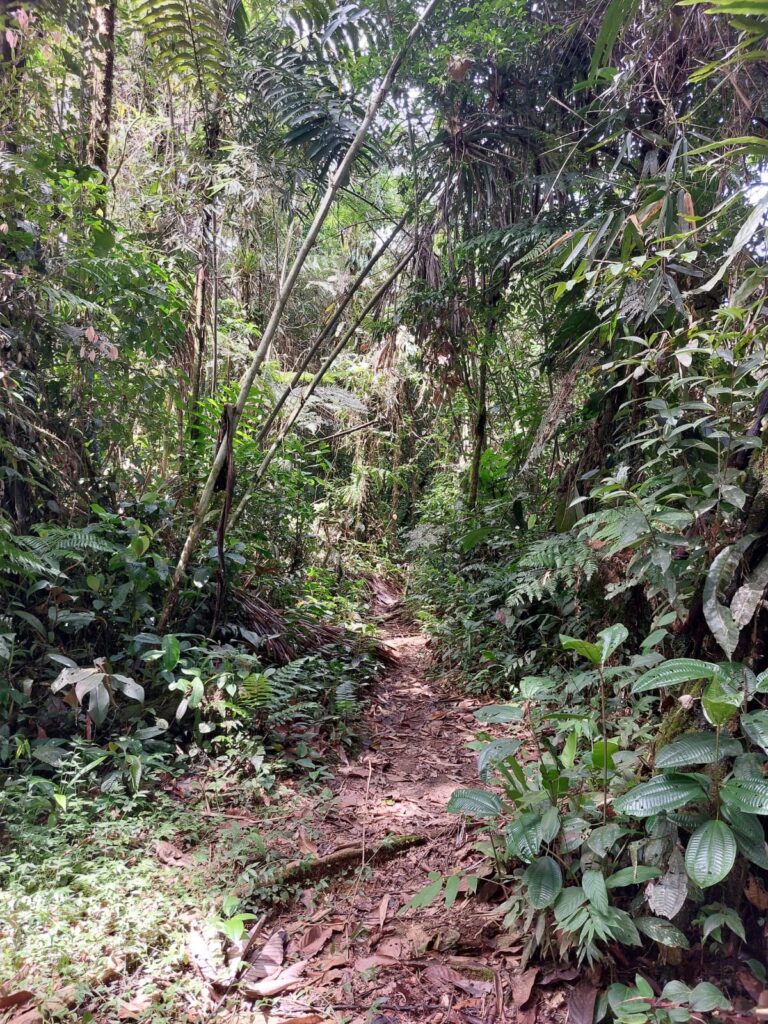 img 20230312 wa0008