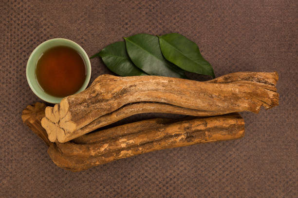 ayahuasca brew and banisteriopsis caapi wood. psychedelic drink, entheogen. ayahuasca brew and banisteriopsis caapi wood. psychedelic drink, entheogen.